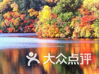 “梦天”发射在即的文昌龙楼镇：民宿满房，现场观看发射是怎样的体验？游戏画面