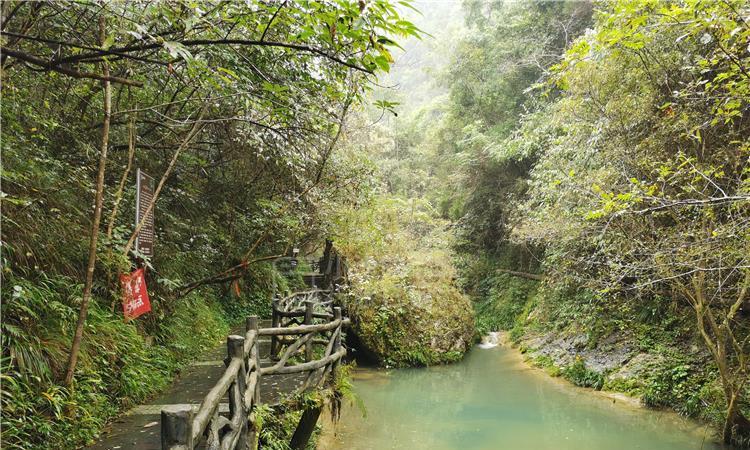 杜甫《登高》全文
