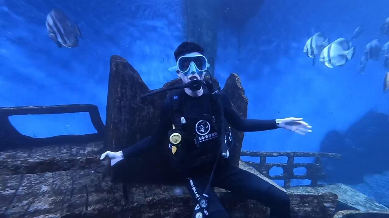月光影视