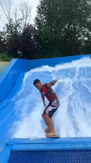 救援受困的鹭