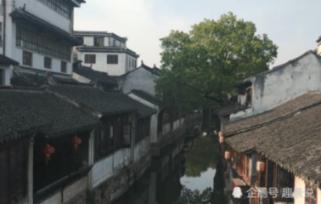 用益生菌谷料来喂养鸡，会让鸡的肉质变得更好吃吗？