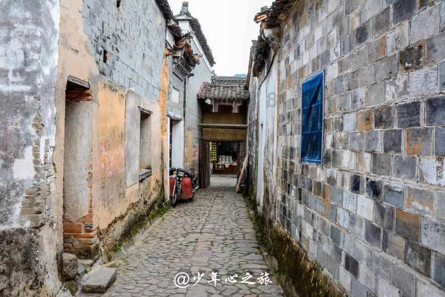 逃出绿色公寓